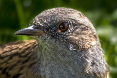 2015_09_27-13_39_52_13