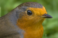 2015_10_10-10_21_30_14