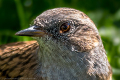 2015_09_27-13_39_52_14