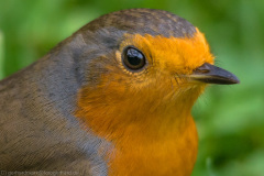 2015_10_10-10_21_30_15