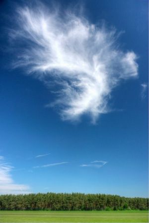 2012-05-25_10-44-12-4