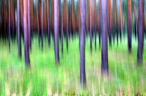 08_2012-06-11_21-48-32-11