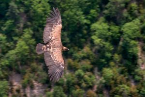 09_2012-07-24_12-20-36-39
