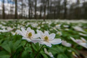 08_2013-04-12_13-23-34.jpg