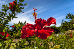 1_2009_12_21-15_42_29_20