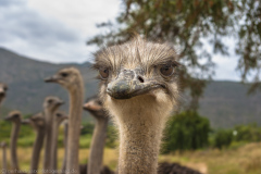 1_2010_01_01-10_07_53_60