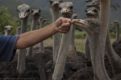 1_2010_01_01-10_11_45_61