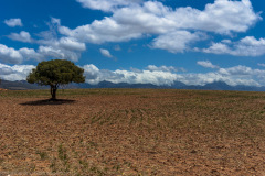 1_2010_01_01-13_43_37_64