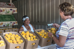 1_2010_01_01-16_05_40_66