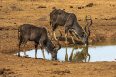 1_2010_01_02-15_15_56_67