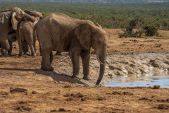 1_2010_01_02-15_43_48_68