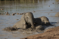 1_2010_01_03-07_34_25_70