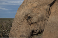 1_2010_01_03-07_41_08_71