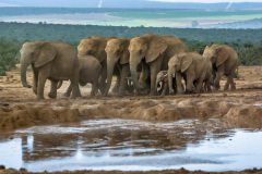 1_2010_01_03-16_15_37_73