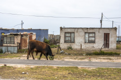 1_2010_01_04-11_22_03_75