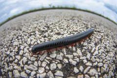 1_2010_01_04-11_34_04_77