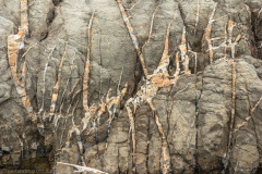 1_2010_01_08-11_25_21_85