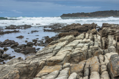 1_2010_01_08-11_26_39_86