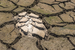 1_2010_01_09-12_57_12_94