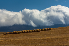 1_2010_01_10-16_03_01_107