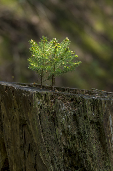 2019_05_18-14_02_05_1