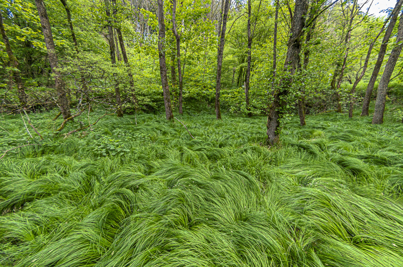 2019_05_18-14_20_40_14