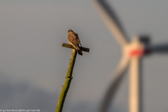 2024-02-13_08-45-06-1