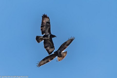 2024-02-13_10-40-18-1