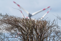 2024_02_12-12_54_39_1