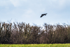 2024_02_12-13_55_15_3