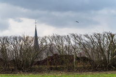 2024_02_12-14_18_22_5