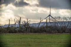 2024_02_12-16_36_33_10