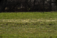 2024_02_12-16_52_50_11