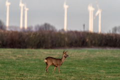 2024_02_13-08_31_44_2