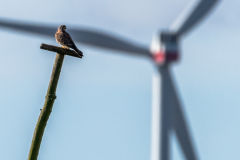 2024_02_13-11_11_31_1