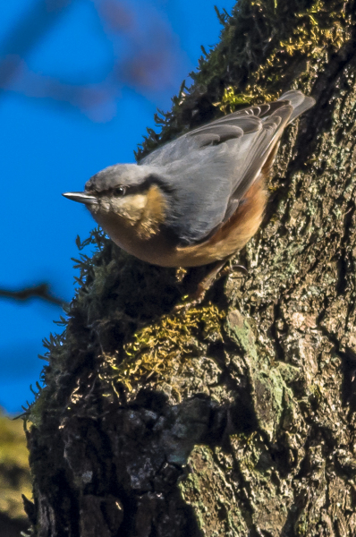 2015-02-15_14-00-11
