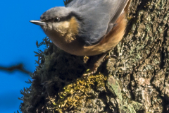 2015-02-15_14-00-11