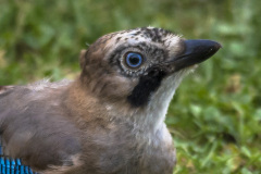 2015_08_08-16_34_27_1