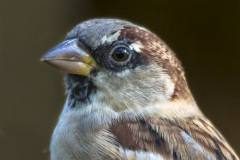 2015_09_25-15_30_48_3