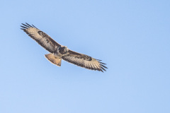 2020_03_26-13_12_13_22