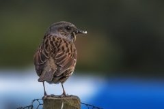 2020_04_22-20_30_16_25