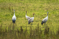 2020_09_24-10_08_40_29