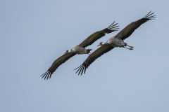 2020_09_24-10_40_36_5