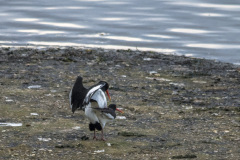 2021_04_12-17_41_39_6