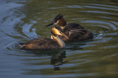 2021_09_02-18_33_52_7