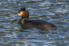 2022_02_11-12_49_00_8