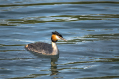 2022_04_11-17_40_25_10