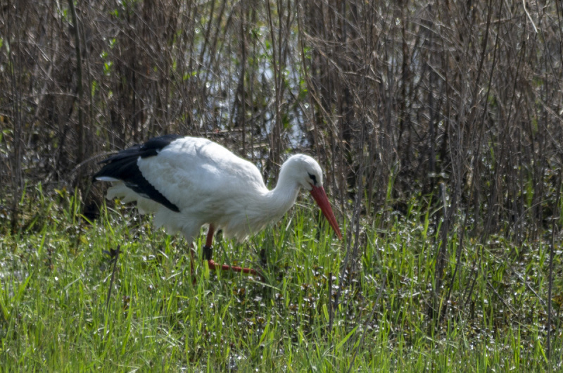 2019_04_23-11_25_51_2