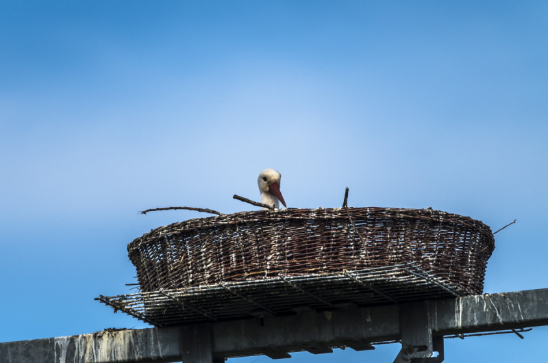 2019_04_23-11_37_51_4