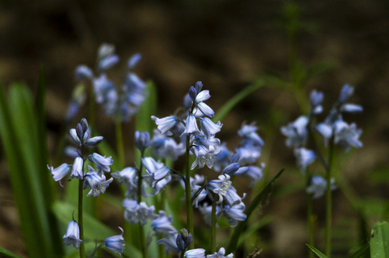 2019_04_23-11_50_57_5